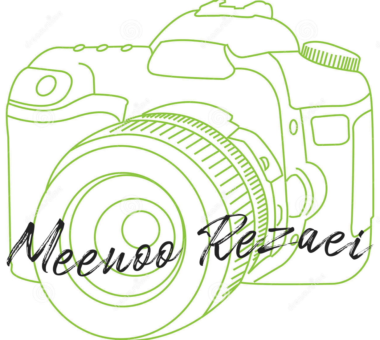 Meenoo’s Portfolio